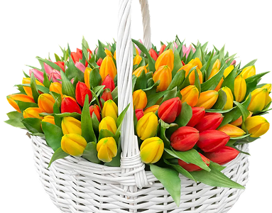 Штучні </br> рослини