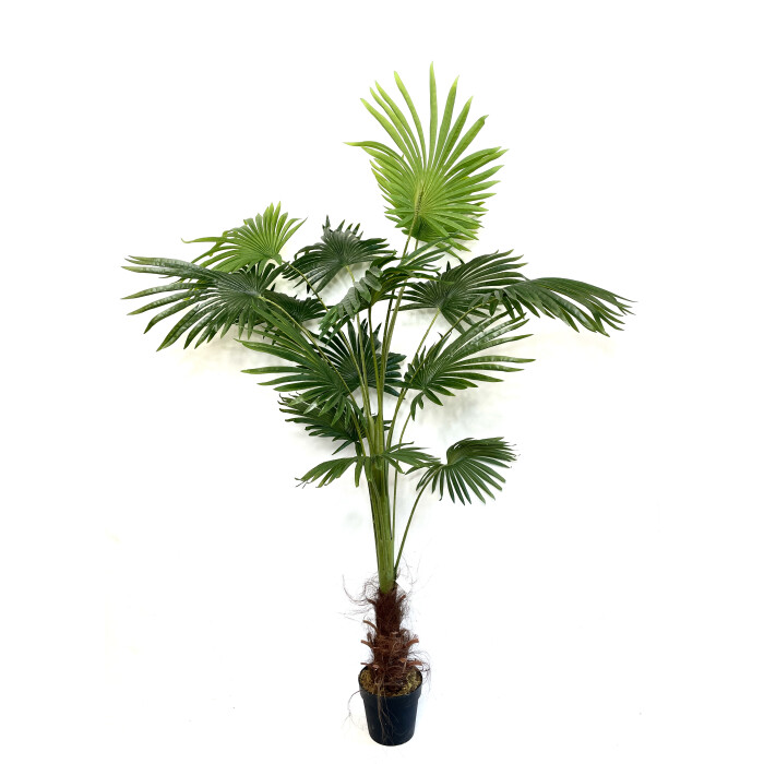 Liviston's palm artificial 180 cm in a pot