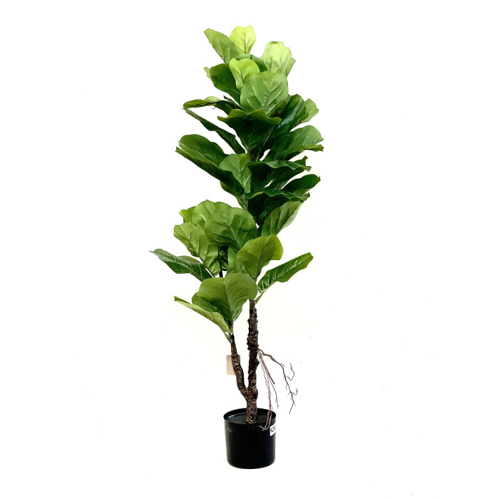 Ficus Lirata artificial 120 cm