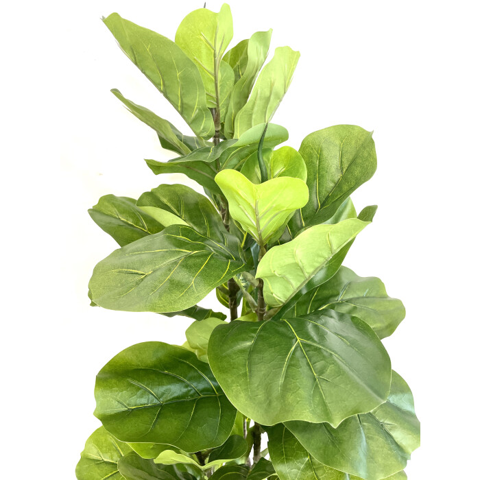 Ficus Lirata artificial 120 cm