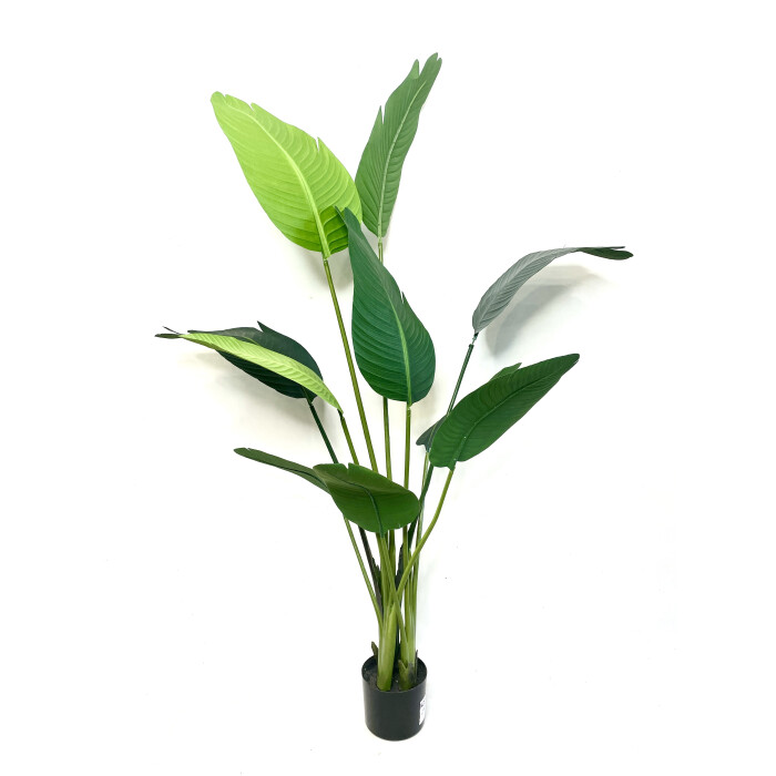 Strelitzia Nicholas artificial 150 cm in a pot