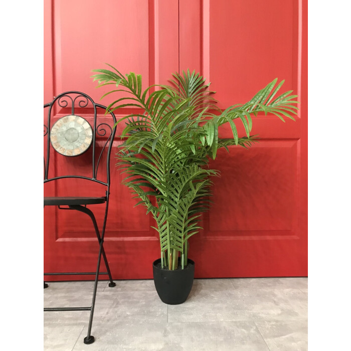 Palm 100 cm in a pot