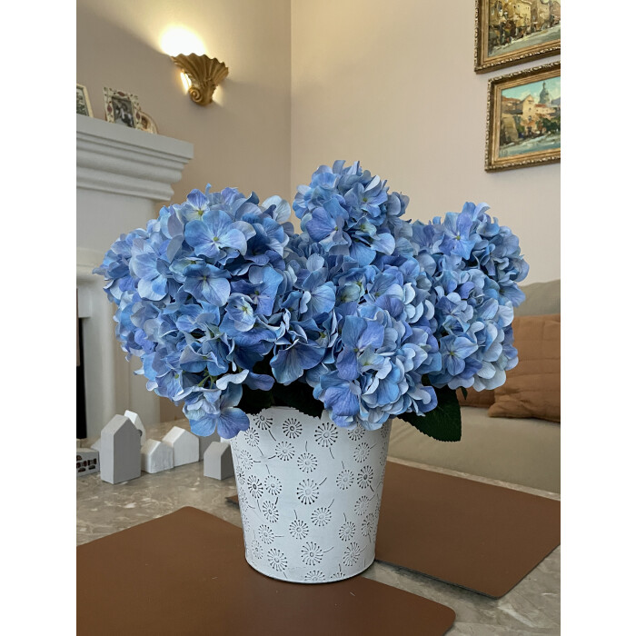 Blue hydrangea (bouquet)