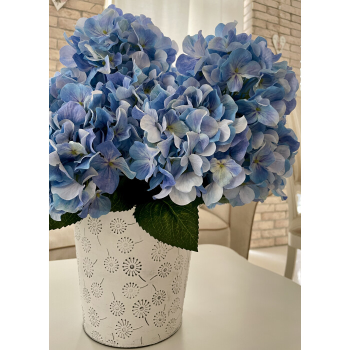 Blue hydrangea (bouquet)