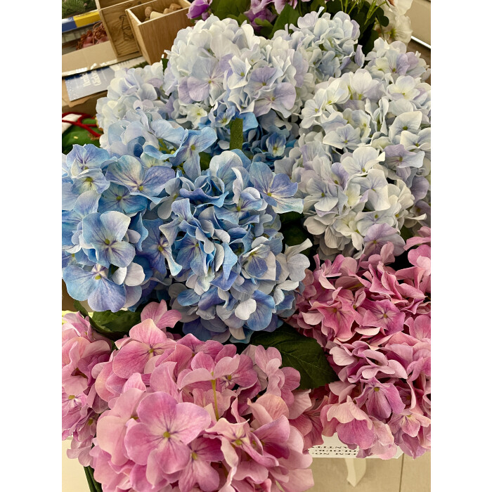 Blue hydrangea (bouquet)