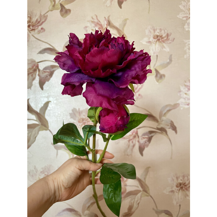 Open burgundy openwork peony with a bud on a branch