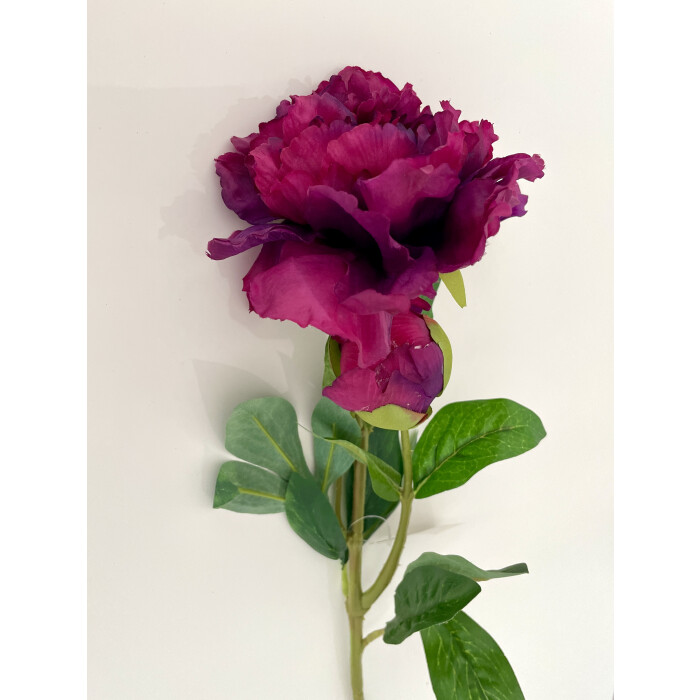 Open burgundy openwork peony with a bud on a branch