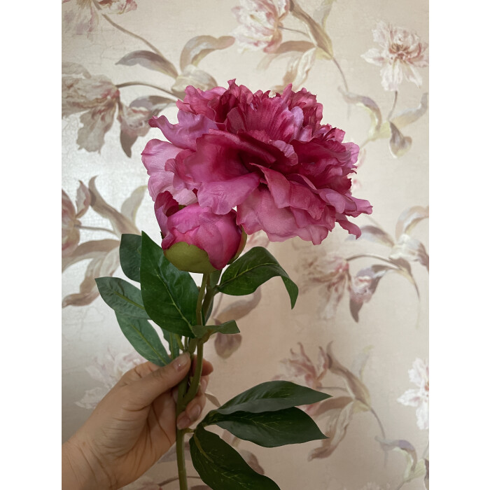 Open dark pink openwork peony with a bud on a branch