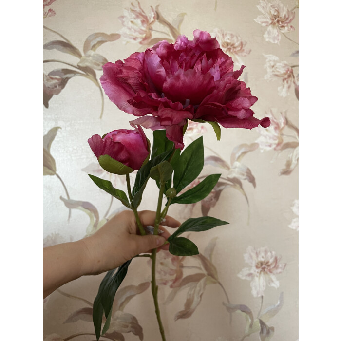 Open dark pink openwork peony with a bud on a branch