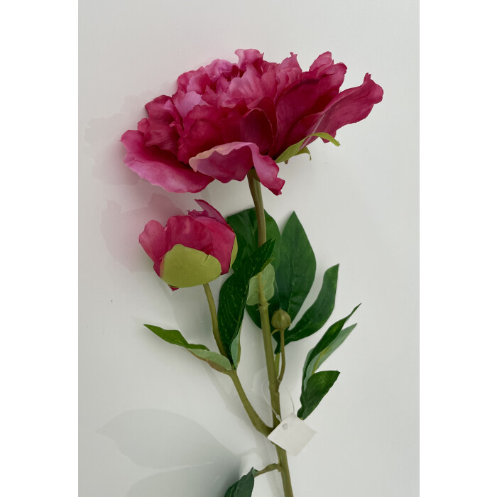 Open dark pink openwork peony with a bud on a branch