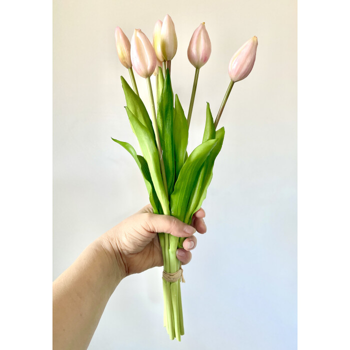 Flowers bouquet of light pink latex tulips 7 closed buds