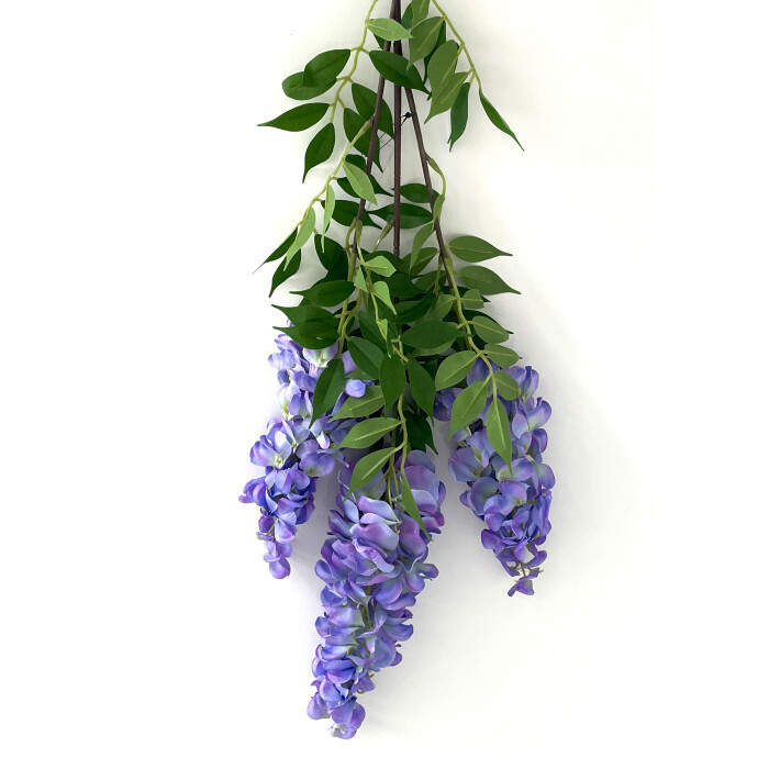 Wisteria purple-blue Real