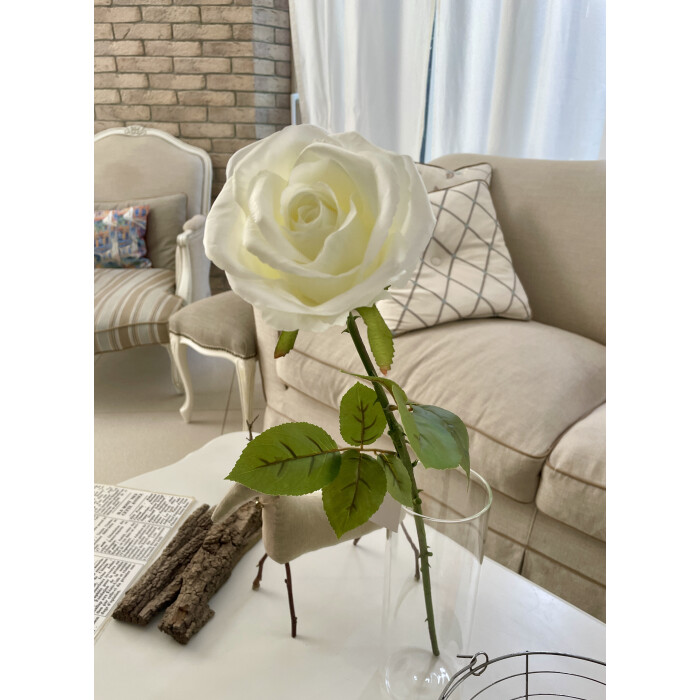 Rose Mondial is white on the stem