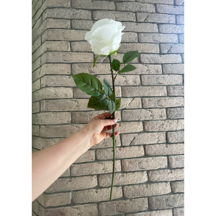 Rose Mondial is white on the stem