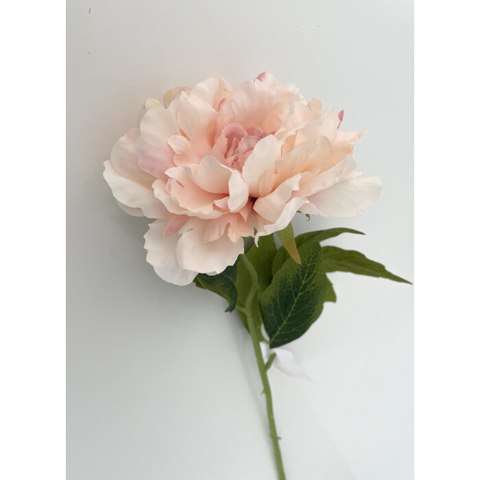 Peony open light pink50 cm