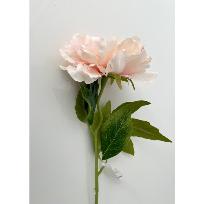 Peony open light pink50 cm