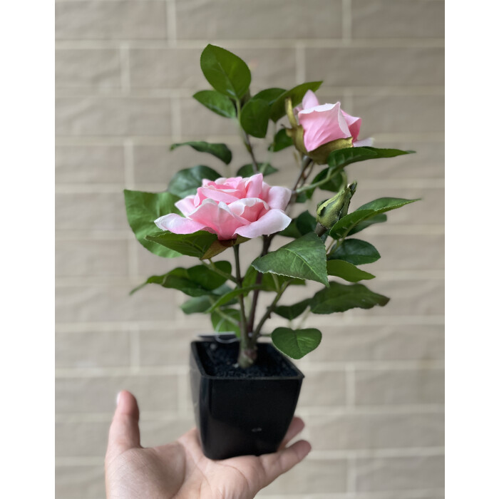 Rose  in a pot  29 cm (pink)