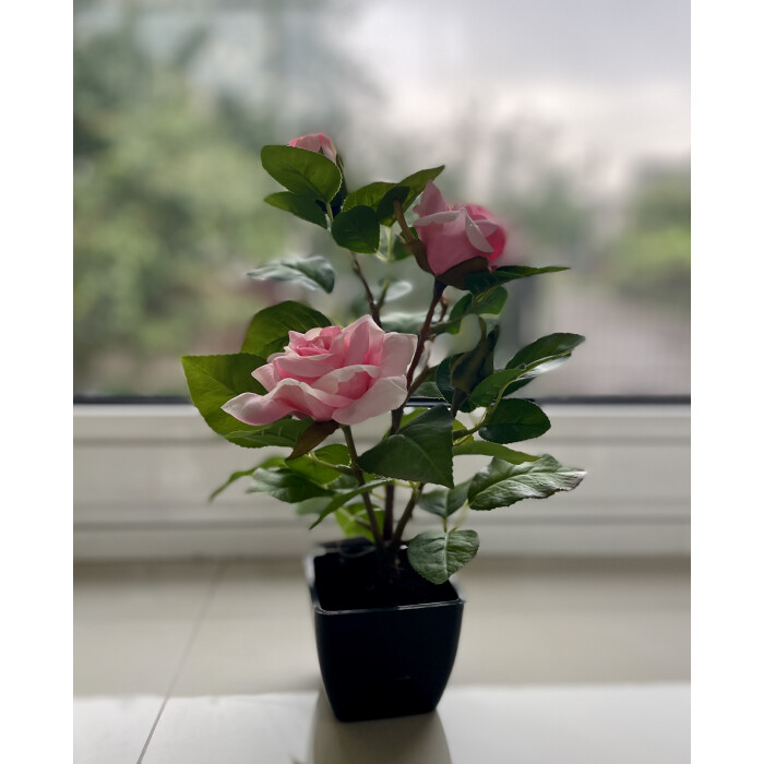 Rose  in a pot  29 cm (pink)