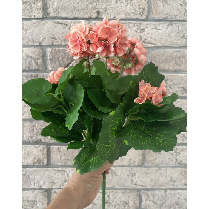 Bouquet of pelargonium 40 cm peach