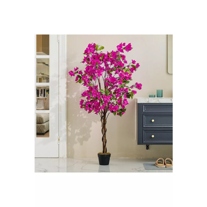 Pink bougainvillea in a 150 cm pot