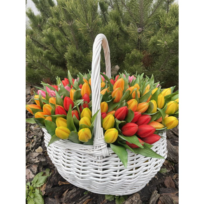 Bouquet of latex tulips, 7 red buds