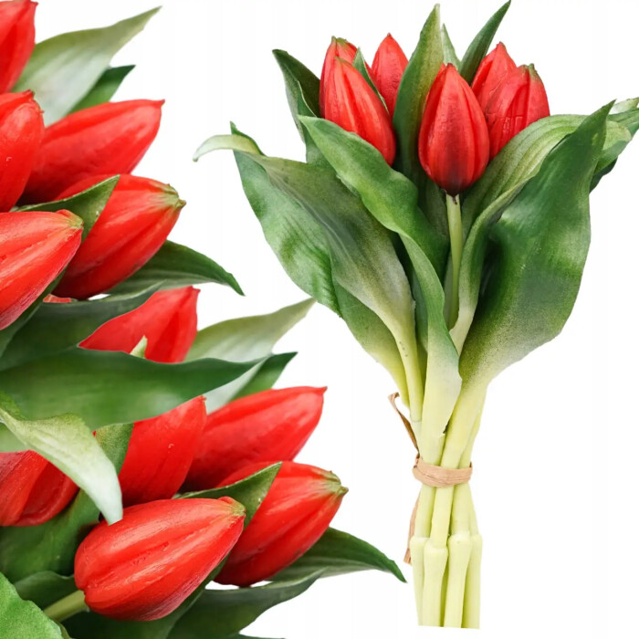 Bouquet of latex tulips, 7 red buds