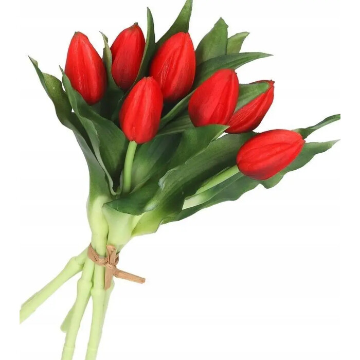 Bouquet of latex tulips, 7 red buds