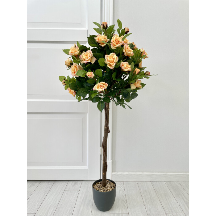 Standard rose tea tree 120 cm