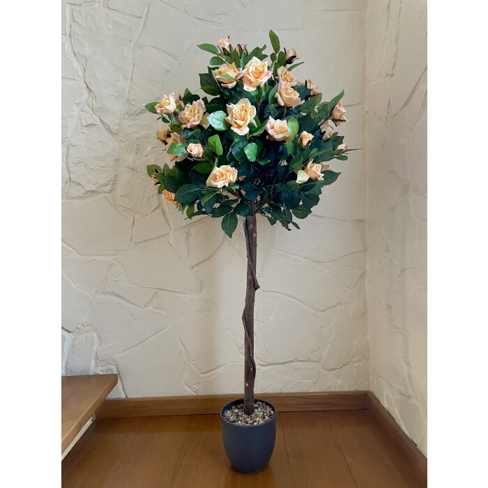 Standard rose tea tree 120 cm