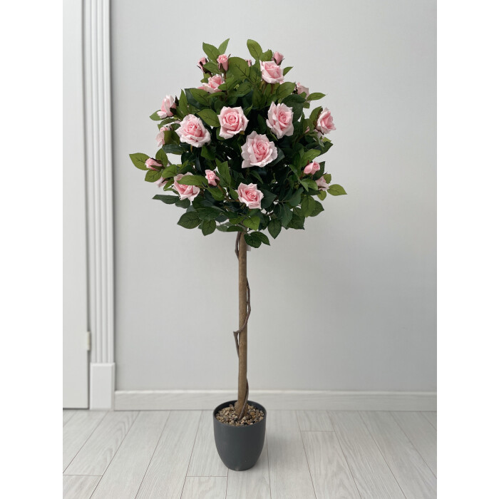 Rose tree pink standard 120 cm