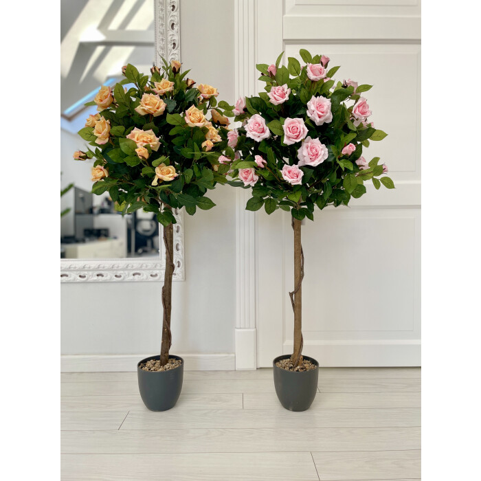 Rose tree pink standard 120 cm