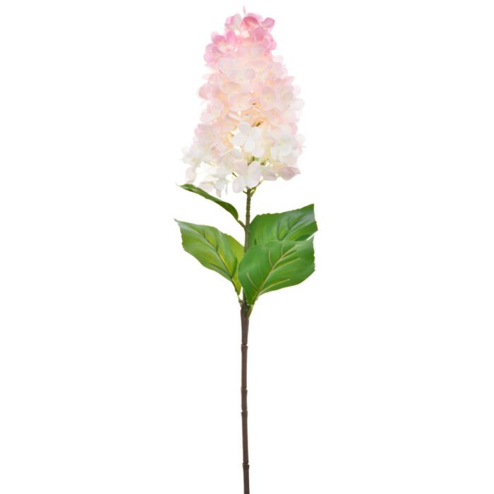Hydrangea light peach branch