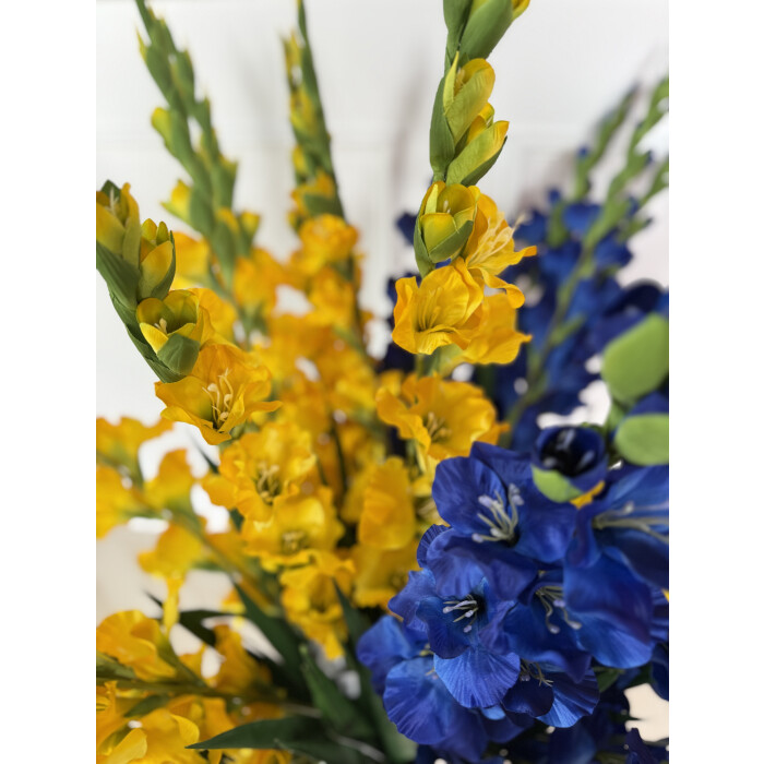Gladiolus VIP blue 112 cm