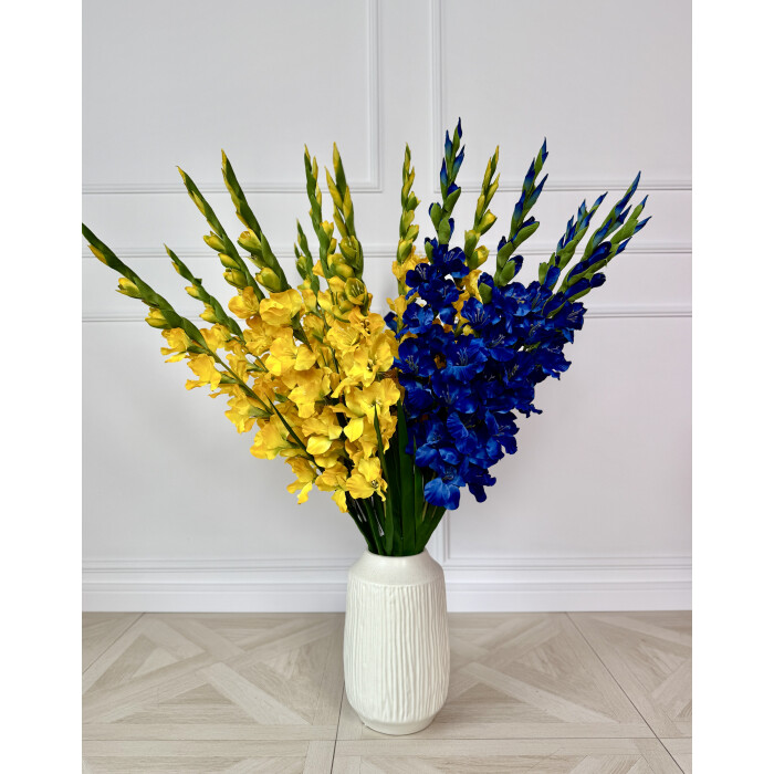 Gladiolus VIP blue 112 cm
