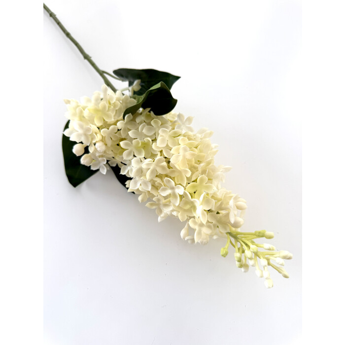 Сирень латексная двойная белая.