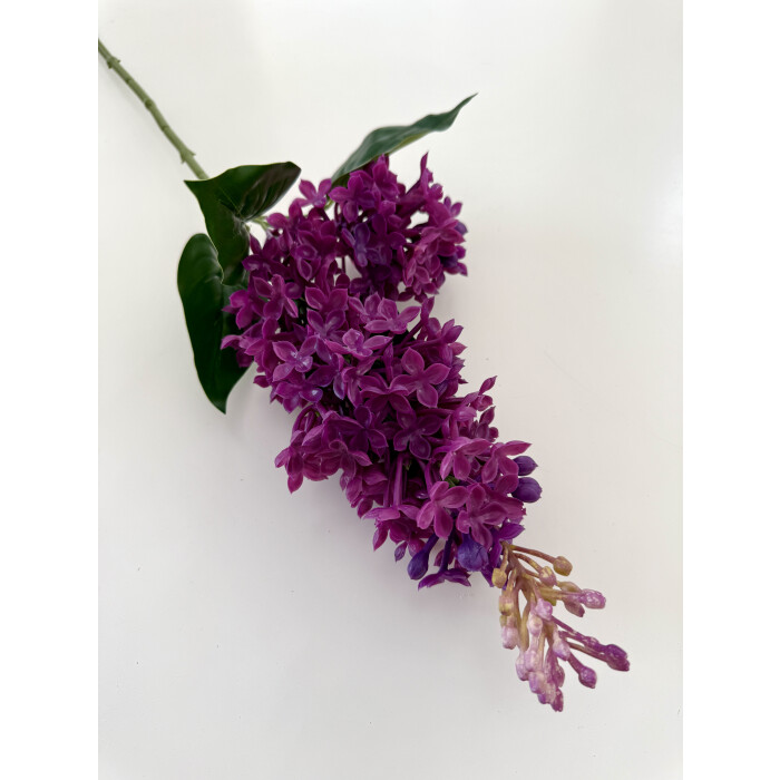 Бузок латексний подвійний бордовий.