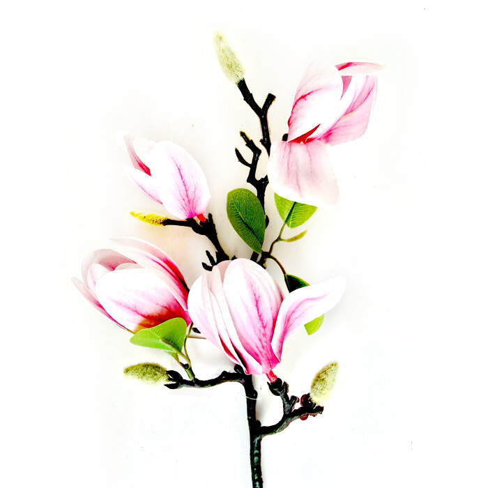 Гілка магнолії закрита латексна світло-рожева.