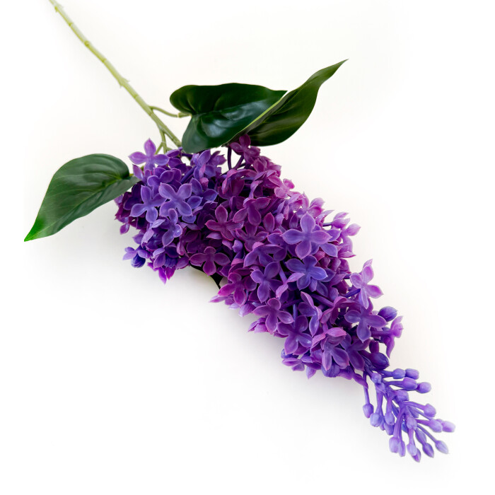 Lilac latex double blue.