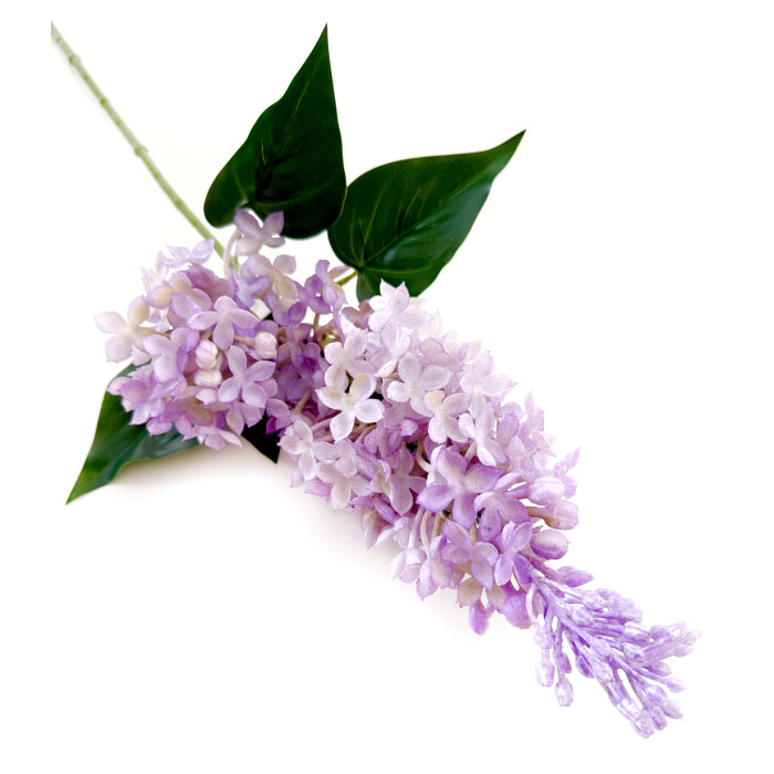 Бузок латексний подвійний світло-фіолетовий.