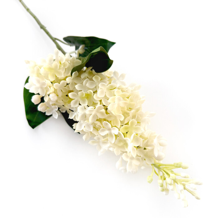 Lilac latex double white.