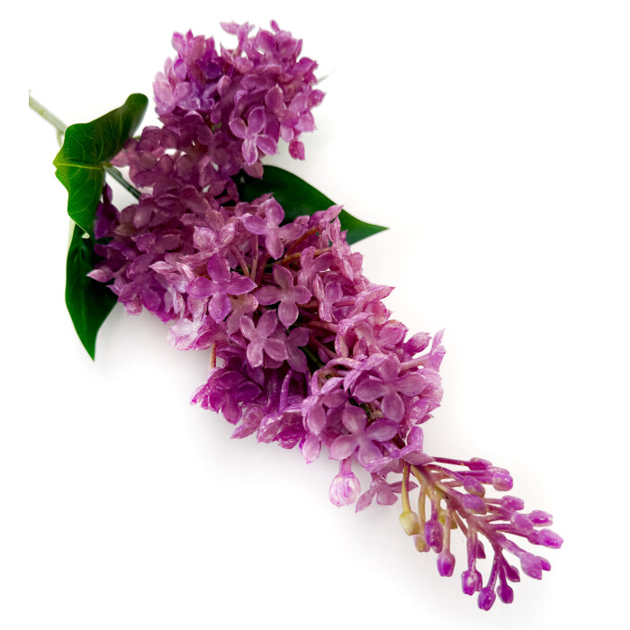 Lilac latex double light burgundy.