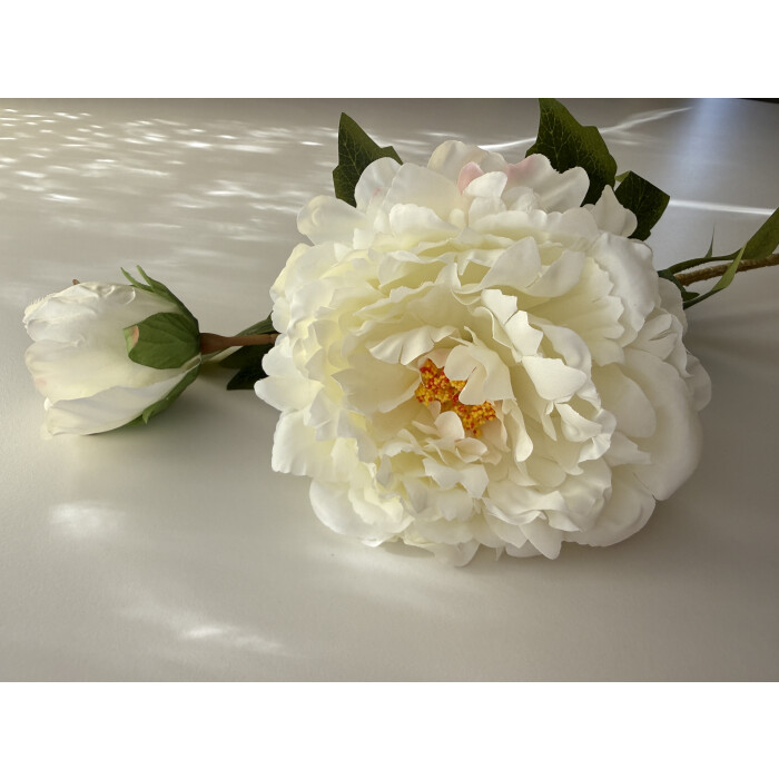 White peony