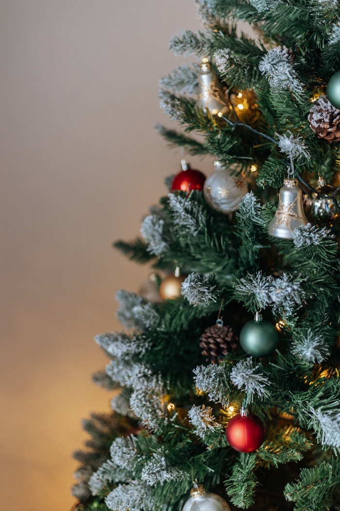 Натхненні 6