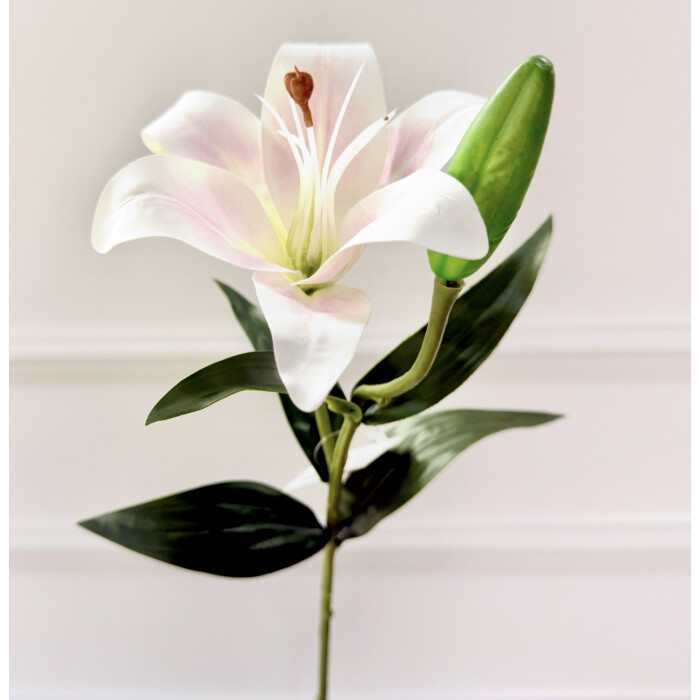 Лилия латексная высокая белая