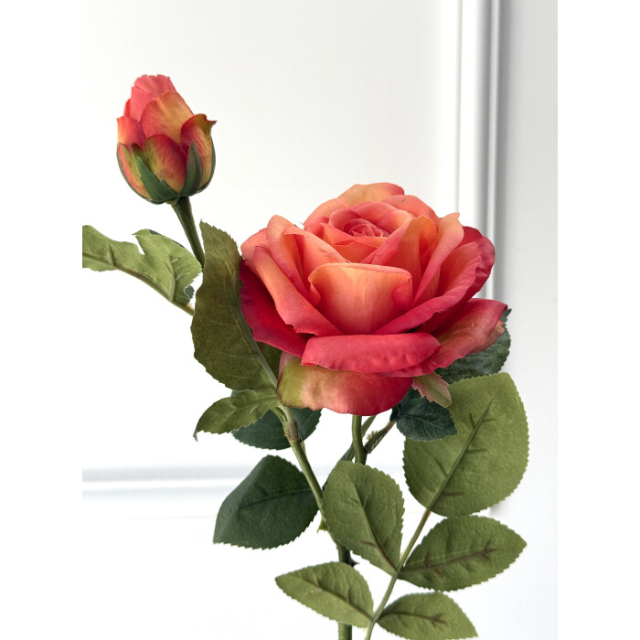 Latex rose Deluxe Sicilian orange