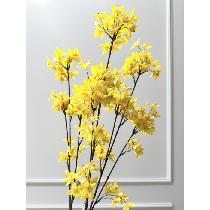 Forsythia branch