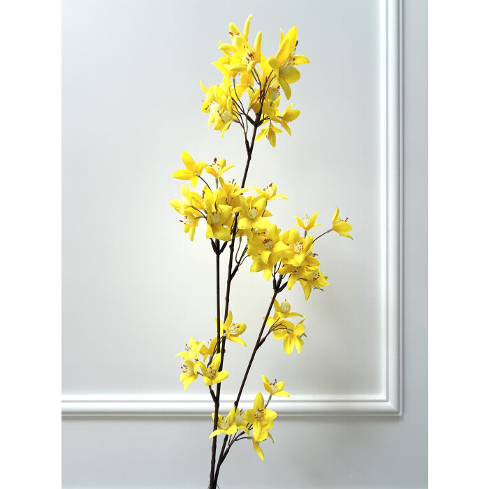Forsythia branch
