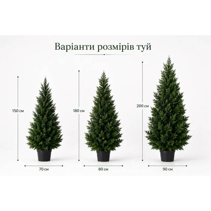 Туя штучна лита зелена у горщику 200 см
